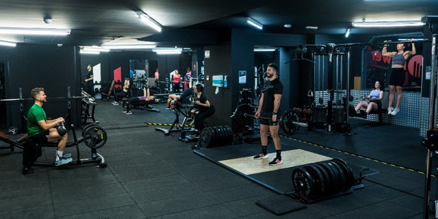 Crecimiento Synergym primer trimestre del año 2025