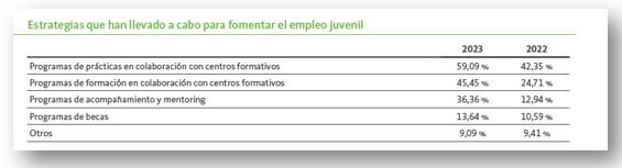 Estrategias para fomentar el empleo juvenil 2024