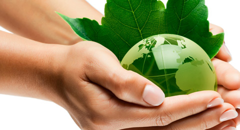 Sostenibilidad en los negocios: cmo ayudar a las empresas a vivir en la nueva economa verde? 