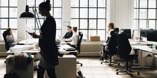 Nuevos espacios de trabajo y oficinas