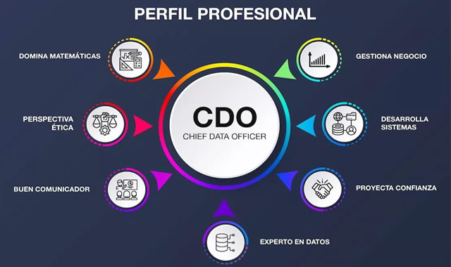 Perfil Chief Data Officer empresas