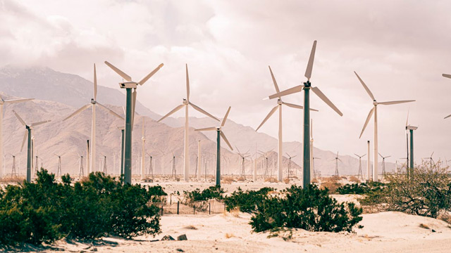 Sostenibilidad en las emrpesas 2023