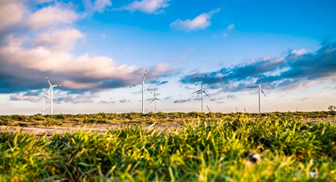 Descubre qu empresa tecnolgica ha sido reconocida por su lucha contra el cambio climtico