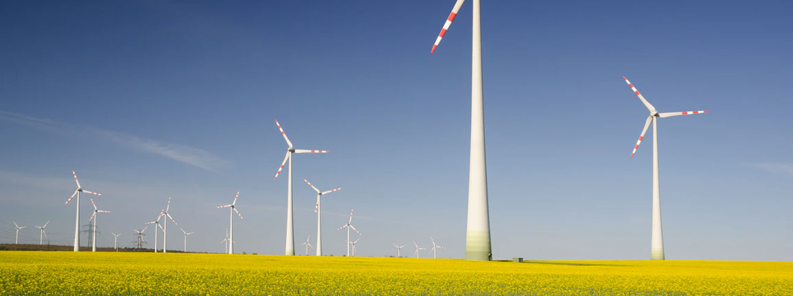 En Espaa, el 74% de la energa ser renovable en 2030