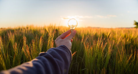 La pandemia afianza el auge de las energas renovables e impulsa la transicin ecolgica en Espaa