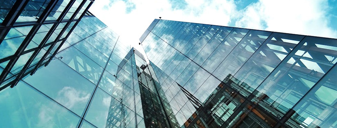 el sector financiero espaol excluye empresas que daan la biodiversidad