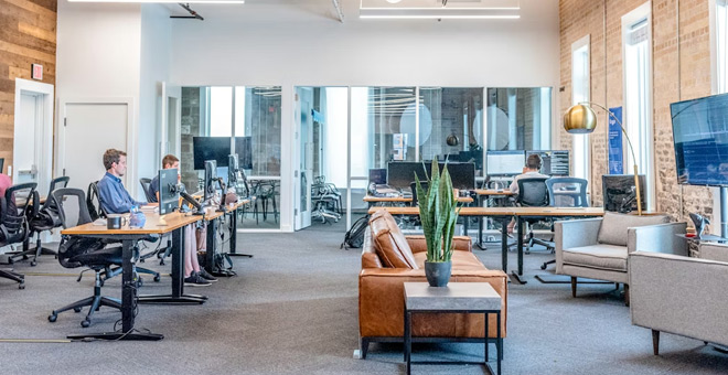 Falta de gobernanza en las empresas Falta de gobernanza en las empresas