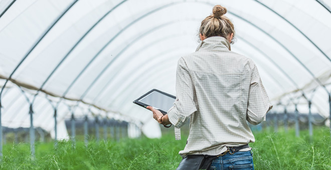 Sopra Steria reconocimiento RSC medio ambiente 2026